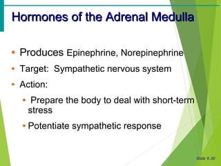 Slide 9.30
Hormones of the Adrenal MedullaHormones of the Adrenal Medulla
• Produces Epinephrine, Norepinephrine
• Target: Sympathetic nervous system
• Action:
• Prepare the body to deal with short-term
stress
• Potentiate sympathetic response
 