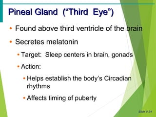 Slide 9.34
Pineal Gland (“Third Eye”)Pineal Gland (“Third Eye”)
• Found above third ventricle of the brain
• Secretes melatonin
• Target: Sleep centers in brain, gonads
• Action:
• Helps establish the body’s Circadian
rhythms
• Affects timing of puberty
 