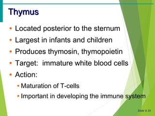 Slide 9.35
ThymusThymus
• Located posterior to the sternum
• Largest in infants and children
• Produces thymosin, thymopoietin
• Target: immature white blood cells
• Action:
• Maturation of T-cells
• Important in developing the immune system
 