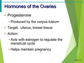 Slide 9.37
Hormones of the OvariesHormones of the Ovaries
• Progesterone
• Produced by the corpus luteum
• Target: Uterus, breast tissue
• Action:
• Acts with estrogen to regulate the
menstrual cycle
• Helps maintain pregnancy
 