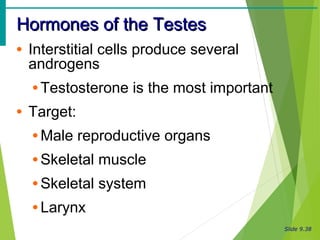 Slide 9.38
Hormones of the TestesHormones of the Testes
• Interstitial cells produce several
androgens
• Testosterone is the most important
• Target:
• Male reproductive organs
• Skeletal muscle
• Skeletal system
• Larynx
 