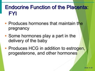 Slide 9.40
Endocrine Function of the Placenta:Endocrine Function of the Placenta:
FYIFYI
• Produces hormones that maintain the
pregnancy
• Some hormones play a part in the
delivery of the baby
• Produces HCG in addition to estrogen,
progesterone, and other hormones
 