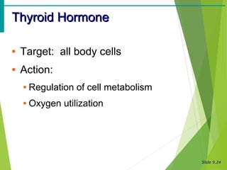Slide 9.24
Thyroid HormoneThyroid Hormone
• Target: all body cells
• Action:
• Regulation of cell metabolism
• Oxygen utilization
 