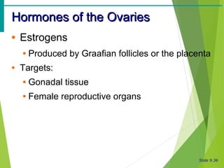Slide 9.36
Hormones of the OvariesHormones of the Ovaries
• Estrogens
• Produced by Graafian follicles or the placenta
• Targets:
• Gonadal tissue
• Female reproductive organs
 