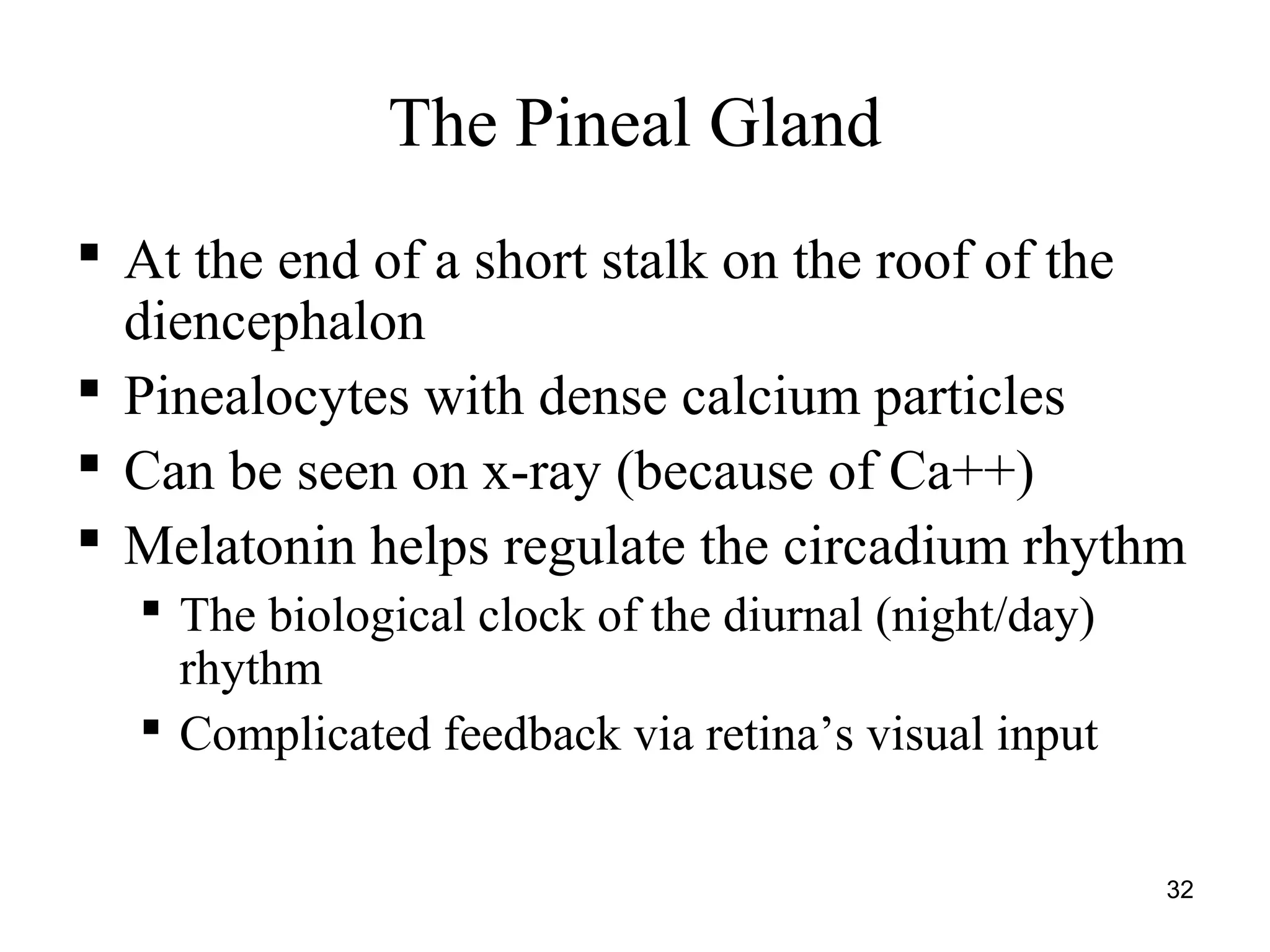 32
The Pineal Gland
 At the end of a short stalk on the roof of the
diencephalon
 Pinealocytes with dense calcium particles
 Can be seen on x-ray (because of Ca++)
 Melatonin helps regulate the circadium rhythm
 The biological clock of the diurnal (night/day)
rhythm
 Complicated feedback via retina’s visual input
 