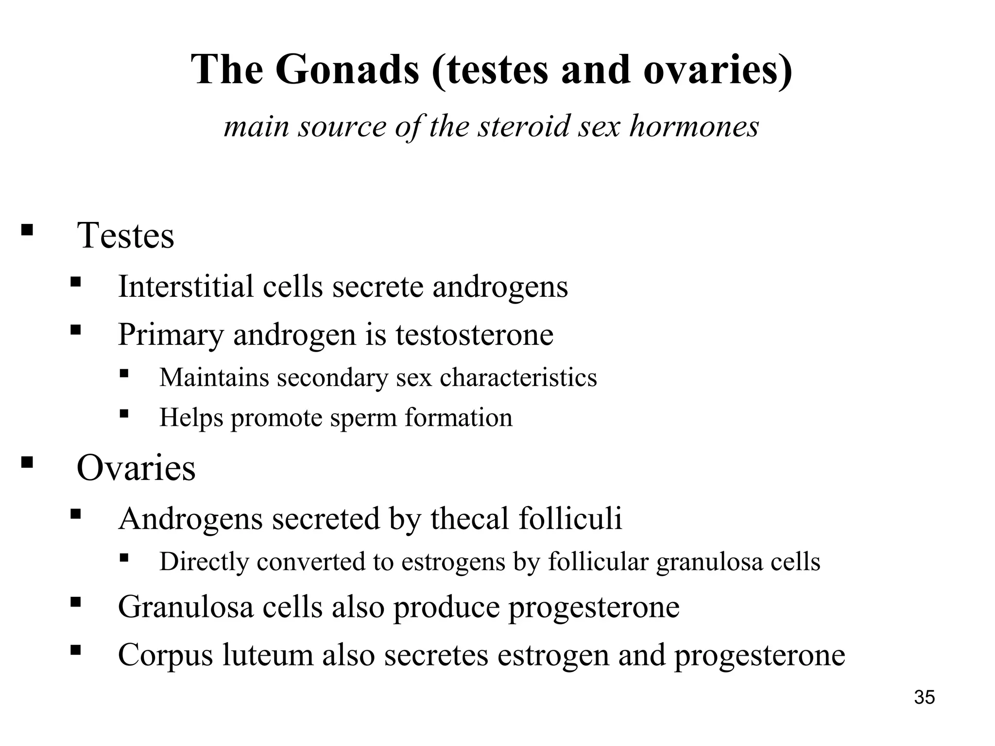 35
The Gonads (testes and ovaries)
main source of the steroid sex hormones
 Testes
 Interstitial cells secrete androgens
 Primary androgen is testosterone
 Maintains secondary sex characteristics
 Helps promote sperm formation
 Ovaries
 Androgens secreted by thecal folliculi
 Directly converted to estrogens by follicular granulosa cells
 Granulosa cells also produce progesterone
 Corpus luteum also secretes estrogen and progesterone
 