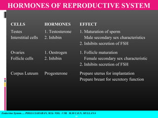 Endocrine System…. POOJA SAHARAN, M.Sc NSG. I YR. M.M C.O.N, MULLANA
18
HORMONES OF REPRODUCTIVE SYSTEM
CELLS HORMONES EFFECT
Testes
Interstitial cells
1. Testosterone
2. Inhibin
1. Maturation of sperm
Male secondary sex characteristics
2. Inhibits secretion of FSH
Ovaries
Follicle cells
1. Oestrogen
2. Inhibin
1. Follicle maturation
Female secondary sex characteristic
2. Inhibits secretion of FSH
Corpus Luteum Progesterone Prepare uterus for implantation
Prepare breast for secretory function
 
