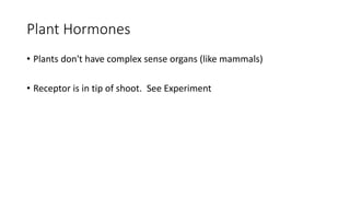 Plant Hormones
• Plants don't have complex sense organs (like mammals)
• Receptor is in tip of shoot. See Experiment
 