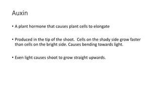 Auxin
• A plant hormone that causes plant cells to elongate
• Produced in the tip of the shoot. Cells on the shady side grow faster
than cells on the bright side. Causes bending towards light.
• Even light causes shoot to grow straight upwards.
 