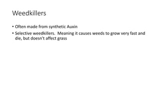 Weedkillers
• Often made from synthetic Auxin
• Selective weedkillers. Meaning it causes weeds to grow very fast and
die, but doesn't affect grass
 