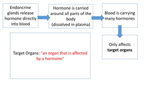 Endoncrine
glands release
hormone directly
into blood
Hormone is carried
around all parts of the
body
(dissolved in plasma)
Blood is carrying
many hormones
Only affects
target organs
Target Organs: "an organ that is affected
by a hormone"
 