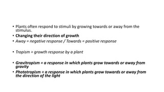 • Plants often respond to stimuli by growing towards or away from the
stimulus.
• Changing their direction of growth
• Away = negative response / Towards = positive response
• Tropism = growth response by a plant
• Gravitropism = a response in which plants grow towards or away from
gravity
• Phototropism = a response in which plants grow towards or away from
the direction of the light
 