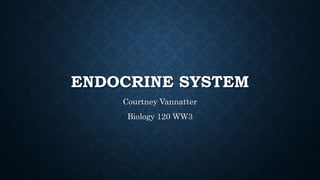ENDOCRINE SYSTEM
Courtney Vannatter
Biology 120 WW3
 