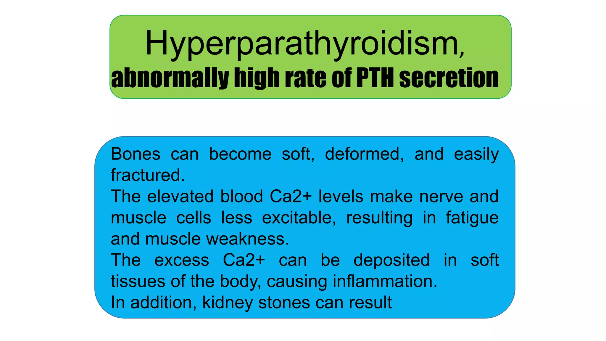 Hyperparathyroidism,
abnormally high rate of PTH secretion
Bones can become soft, deformed, and easily
fractured.
The elevated blood Ca2+ levels make nerve and
muscle cells less excitable, resulting in fatigue
and muscle weakness.
The excess Ca2+ can be deposited in soft
tissues of the body, causing inflammation.
In addition, kidney stones can result
 