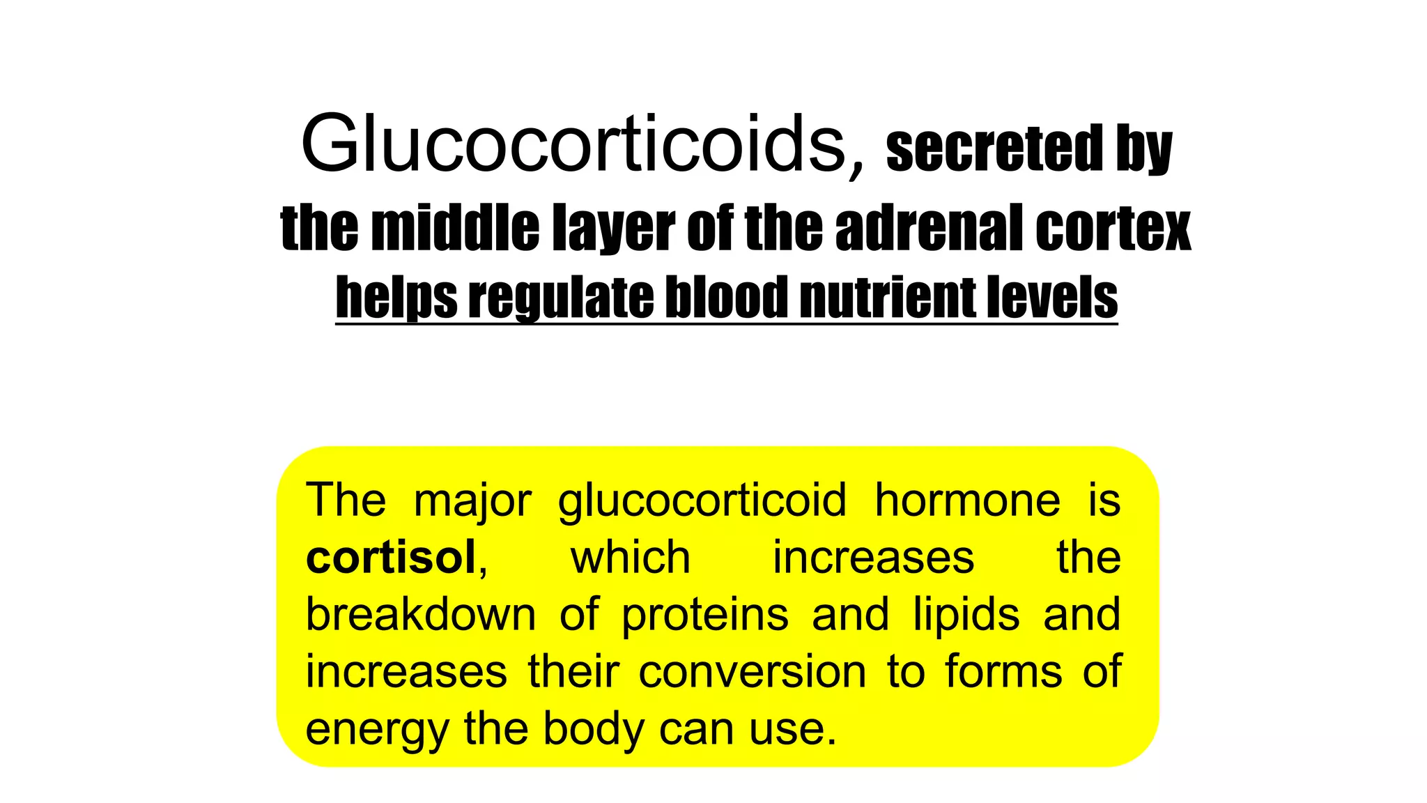 Glucocorticoids, secreted by
the middle layer of the adrenal cortex
helps regulate blood nutrient levels
The major glucocorticoid hormone is
cortisol, which increases the
breakdown of proteins and lipids and
increases their conversion to forms of
energy the body can use.
 