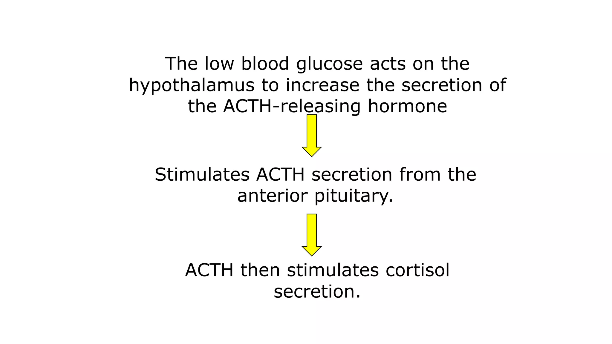 ACTH then stimulates cortisol
secretion.
The low blood glucose acts on the
hypothalamus to increase the secretion of
the ACTH-releasing hormone
Stimulates ACTH secretion from the
anterior pituitary.
 