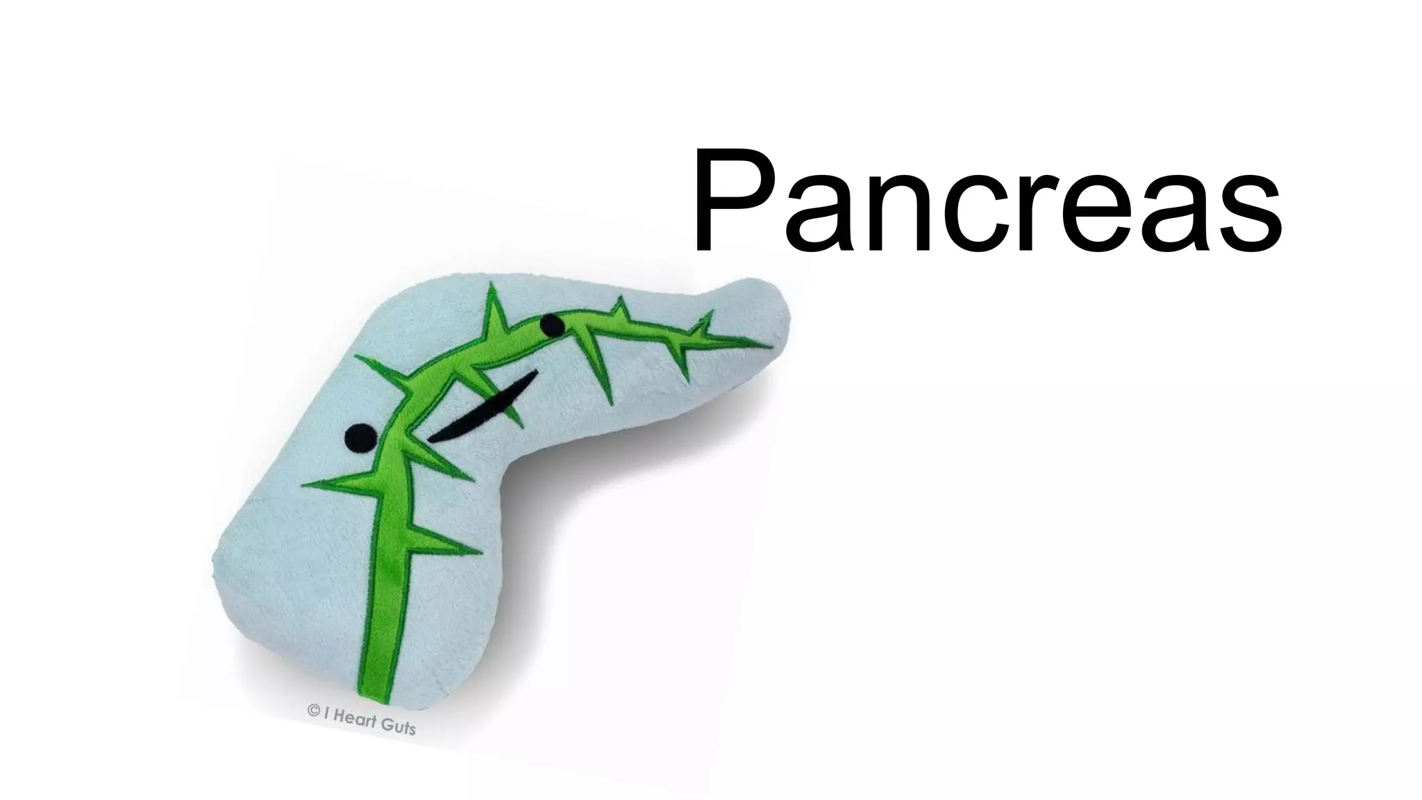 Pancreas
 