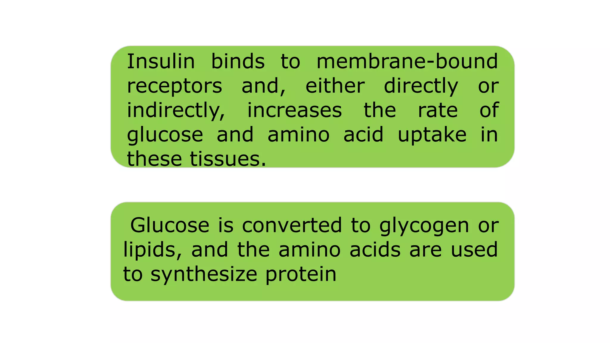Insulin binds to membrane-bound
receptors and, either directly or
indirectly, increases the rate of
glucose and amino acid uptake in
these tissues.
Glucose is converted to glycogen or
lipids, and the amino acids are used
to synthesize protein
 