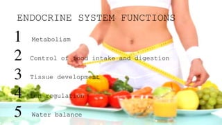 ENDOCRINE SYSTEM FUNCTIONS
1 Metabolism
2 Control of food intake and digestion
3 Tissue development
4 Ion regulation
5 Water balance
 