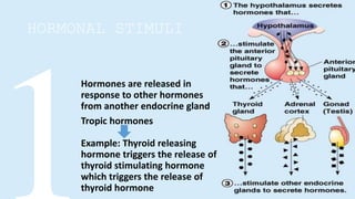HORMONAL STIMULI
Hormones are released in
response to other hormones
from another endocrine gland
Tropic hormones
Example: Thyroid releasing
hormone triggers the release of
thyroid stimulating hormone
which triggers the release of
thyroid hormone
 
