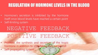 REGULATION OF HORMONE LEVELS IN THE BLOOD
NEGATIVE FEEDBACK
POSITIVE FEEDBACK
• Hormone’s secretion is inhibited by the hormone
itself once blood levels have reached a certain point
• Self-limiting system
• Promote the synthesis and secretion of the tropic
hormone in addition to stimulating their target cell
• Self-propagating system
 