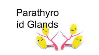 Parathyro
id Glands
 