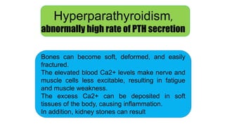 Hyperparathyroidism,
abnormally high rate of PTH secretion
Bones can become soft, deformed, and easily
fractured.
The elevated blood Ca2+ levels make nerve and
muscle cells less excitable, resulting in fatigue
and muscle weakness.
The excess Ca2+ can be deposited in soft
tissues of the body, causing inflammation.
In addition, kidney stones can result
 