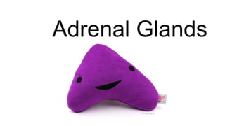Adrenal Glands
 