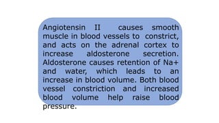 Angiotensin II causes smooth
muscle in blood vessels to constrict,
and acts on the adrenal cortex to
increase aldosterone secretion.
Aldosterone causes retention of Na+
and water, which leads to an
increase in blood volume. Both blood
vessel constriction and increased
blood volume help raise blood
pressure.
 