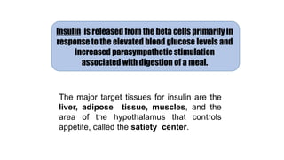 Insulin is released from the beta cells primarily in
response to the elevated blood glucose levels and
increased parasympathetic stimulation
associated with digestion of a meal.
The major target tissues for insulin are the
liver, adipose tissue, muscles, and the
area of the hypothalamus that controls
appetite, called the satiety center.
 