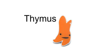 Thymus
 