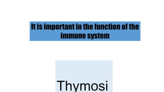 It is important in the function of the
immune system
Thymosi
 