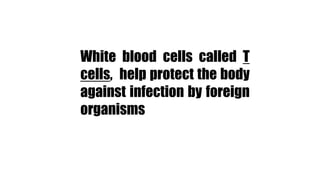 White blood cells called T
cells, help protect the body
against infection by foreign
organisms
 