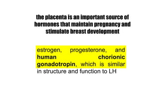 the placenta is an important source of
hormones that maintain pregnancy and
stimulate breast development
estrogen, progesterone, and
human chorionic
gonadotropin, which is similar
in structure and function to LH
 