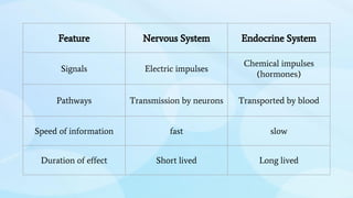 Feature Nervous System Endocrine System
Signals Electric impulses
Chemical impulses
(hormones)
Pathways Transmission by neurons Transported by blood
Speed of information fast slow
Duration of effect Short lived Long lived
 
