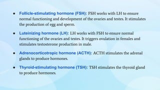 ● Follicle-stimulating hormone (FSH): FSH works with LH to ensure
normal functioning and development of the ovaries and testes. It stimulates
the production of egg and sperm.
● Luteinizing hormone (LH): LH works with FSH to ensure normal
functioning of the ovaries and testes. It triggers ovulation in females and
stimulates testosterone production in male.
● Adrenocorticotropic hormone (ACTH): ACTH stimulates the adrenal
glands to produce hormones.
● Thyroid-stimulating hormone (TSH): TSH stimulates the thyroid gland
to produce hormones.
 