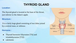 THYROID GLAND
Location :
The thyroid gland is located at the base of the throat,
just inferior to the Adam’s apple.
Structure :
It is a fairly large gland consisting of two lobes joined
by a central mass, or isthmus .
Hormons :
● Thyroid hormone (thyroxine [T4] and
triiodothyronine [T3]) .
● calcitonin
 