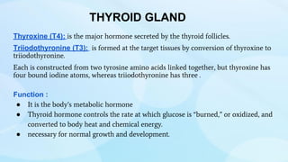THYROID GLAND
Thyroxine (T4): is the major hormone secreted by the thyroid follicles.
Triiodothyronine (T3): is formed at the target tissues by conversion of thyroxine to
triiodothyronine.
Each is constructed from two tyrosine amino acids linked together, but thyroxine has
four bound iodine atoms, whereas triiodothyronine has three .
Function :
● It is the body’s metabolic hormone
● Thyroid hormone controls the rate at which glucose is “burned,” or oxidized, and
converted to body heat and chemical energy.
● necessary for normal growth and development.
 