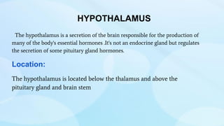 HYPOTHALAMUS
The hypothalamus is a secretion of the brain responsible for the production of
many of the body's essential hormones .It's not an endocrine gland but regulates
the secretion of some pituitary gland hormones.
Location:
The hypothalamus is located below the thalamus and above the
pituitary gland and brain stem
 