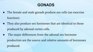 ● The female and male gonads produce sex cells (an exocrine
function).
● They also produce sex hormones that are identical to those
produced by adrenal cortex cells.
● The major differences from the adrenal sex hormone
production are the source and relative amounts of hormones
produced.
GONADS
 