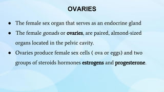 ● The female sex organ that serves as an endocrine gland
● The female gonads or ovaries, are paired, almond-sized
organs located in the pelvic cavity.
● Ovaries produce female sex cells ( ova or eggs) and two
groups of steroids hormones estrogens and progesterone.
OVARIES
 