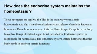 How does the endocrine system maintains the
homeostasis ?
These hormones are sent via the This is the main way we maintain
homeostasis actually, since the endocrine system releases chemicals known as
hormones. These hormones are sent via the blood to specific spots in the body
to control things like blood sugar, heart rate, etc.The Endocrine system is
responsible for homeostasis. The Endocrine system secrete hormones that the
body needs to perform certain functions.
 