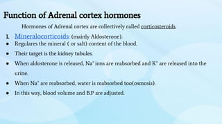Function of Adrenal cortex hormones
Hormones of Adrenal cortex are collectively called corticosteroids.
1. Mineralocorticoids: (mainly Aldosterone).
● Regulares the mineral ( or salt) content of the blood.
● Their target is the kidney tubules.
● When aldosterone is released, Na+
ions are reabsorbed and K+
are released into the
urine.
● When Na+
are reabsorbed, water is reabsorbed too(osmosis).
● In this way, blood volume and B.P are adjusted.
 