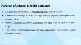 Function of Adrenal Medulla hormones
1. Epinephrine: (Adrenaline) and Norepinephrine (noradrenaline)
● Enhances and prolongs the effects of “ fight or flight” response of the sympathetic
nervous system
● Increases Heart rate, B.P, Blood glucose level and dilate small passageways of the
lungs.
● These events result in more oxygen and faster circulation of blood, mainly to brain,
heart and muscles.
 