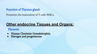 Function of Thymus gland:
Promotes the maturation of T-cells WBCs.
Other endocrine Tissues and Organs:
Placenta:
● Human Chorionic Gonadotrophin.
● Estrogen and progesterone.
 