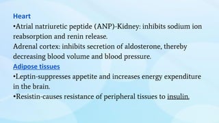 Heart
•Atrial natriuretic peptide (ANP)-Kidney: inhibits sodium ion
reabsorption and renin release.
Adrenal cortex: inhibits secretion of aldosterone, thereby
decreasing blood volume and blood pressure.
Adipose tissues
•Leptin-suppresses appetite and increases energy expenditure
in the brain.
•Resistin-causes resistance of peripheral tissues to insulin.
 