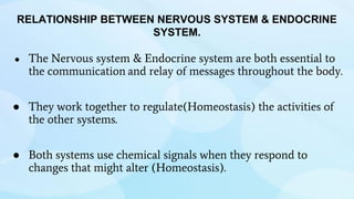 ● The Nervous system & Endocrine system are both essential to
the communication and relay of messages throughout the body.
● They work together to regulate(Homeostasis) the activities of
the other systems.
● Both systems use chemical signals when they respond to
changes that might alter (Homeostasis).
RELATIONSHIP BETWEEN NERVOUS SYSTEM & ENDOCRINE
SYSTEM.
 