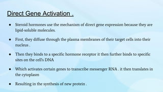 Direct Gene Activation .
● Steroid hormones use the mechanism of direct gene expression because they are
lipid-soluble molecules.
● First, they diffuse through the plasma membranes of their target cells into their
nucleus .
● Then they binds to a specific hormone receptor it then further binds to specific
sites on the cell's DNA
● Which activates certain genes to transcribe messenger RNA . it then translates in
the cytoplasm
● Resulting in the synthesis of new protein .
 
