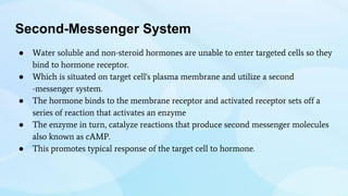 Second-Messenger System
● Water soluble and non-steroid hormones are unable to enter targeted cells so they
bind to hormone receptor.
● Which is situated on target cell's plasma membrane and utilize a second
-messenger system.
● The hormone binds to the membrane receptor and activated receptor sets off a
series of reaction that activates an enzyme
● The enzyme in turn, catalyze reactions that produce second messenger molecules
also known as cAMP.
● This promotes typical response of the target cell to hormone.
 