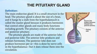 THE PITUITARY GLAND
Definition:
The main endocrine gland. It is a small structure in the
head. The pituitary gland is about the size of a bean,
and it hangs by a stalk from the hypothalamus.It is
called the master gland because it produces hormones
that control other glands and many body functions
including growth. The pituitary consists of the anterior
and posterior pituitary.
The pituitary glands are made of the anterior lobe
and posterior lobe. The anterior lobe produces and
releases hormones. The posterior lobe does not
produce hormones per se—this is done by nerve cells
in the hypothalamus—but it does release them into the
circulation.
 